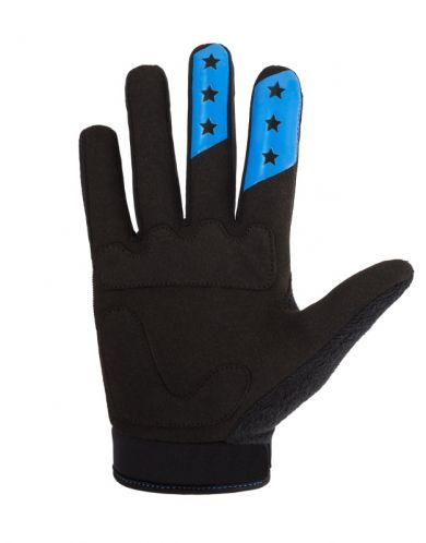 ElementStore - Gloves - Evo blue1