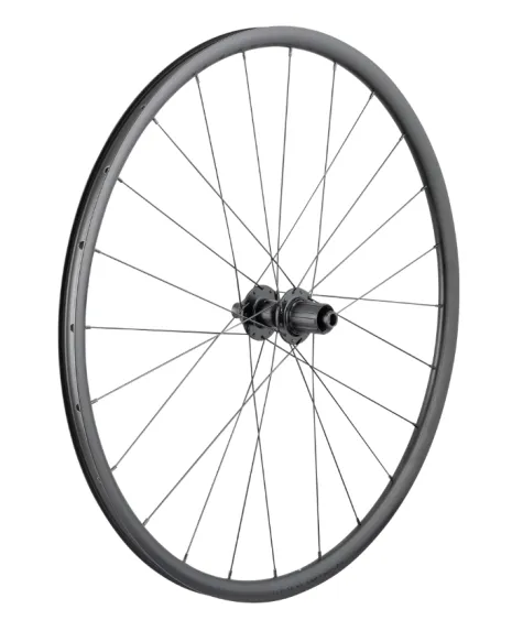 Bontrager diskové kolo Paradigm SL Centerlock Disc 24H černé