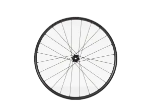 Bontrager kolo Kovee Pro 30 TLR Boost 29 bílá