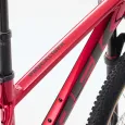 ElementStore - trek-pevne-horske-kolo-procaliber-8-fury-red-5