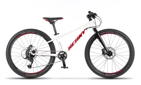 horské kolo Blaster XC 24 bílá