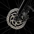 trek-Verve+-2-Lowstep-Gen-3-5