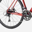 Trek-silnicni-kolo-Domane-AL-2-Gen-4-Fury-Red-6